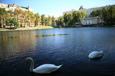 Similar image 10503034