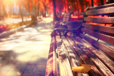 Similar image 10503037