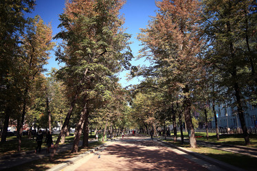 Similar image 10503039