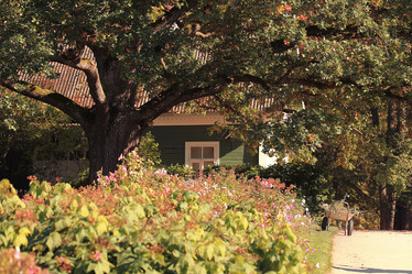 Similar image 10503054