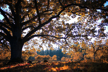 Similar image 10503058