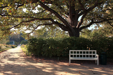 Similar image 10503059