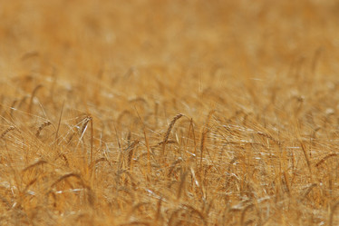 Similar image 10503060