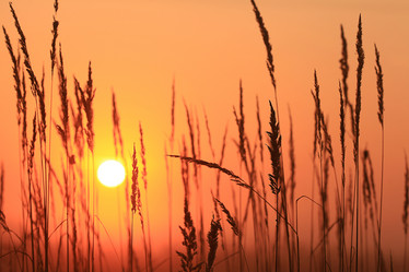 Similar image 10503061