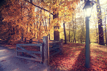 Similar image 10503063