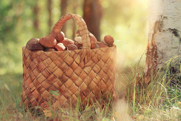 Similar image 10503073