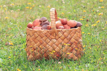 Similar image 10503074