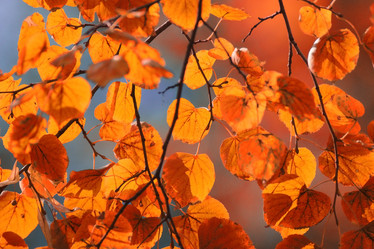 Similar image 10503078