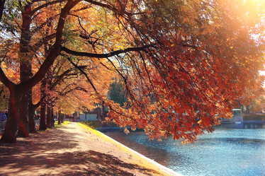 Similar image 10503084