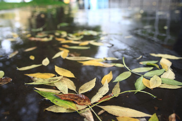 Similar image 10503087