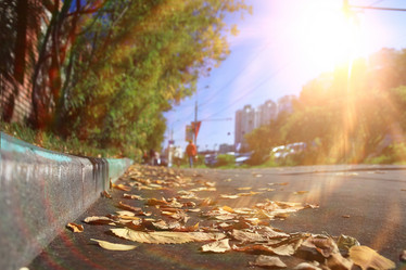 Similar image 10503088