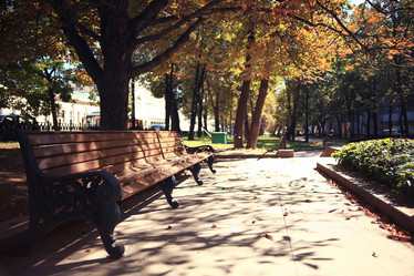 Similar image 10503090