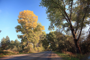 Similar image 10503091