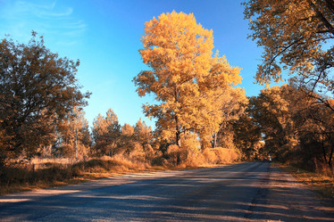 Similar image 10503092