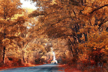 Similar image 10503094