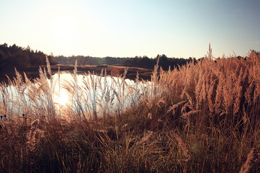 Similar image 10503095