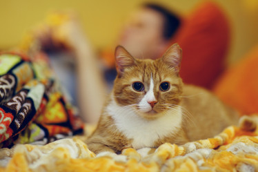 Similar image 10503098