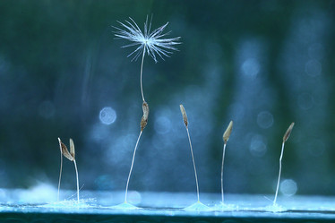 Similar image 10503100