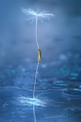 Similar image 10503102