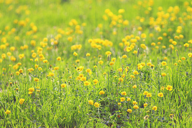 Similar image 10503104