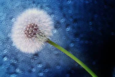 Similar image 10503110