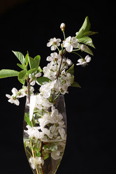 Similar image 10503112