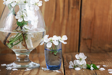 Similar image 10503120