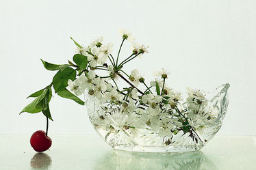 Similar image 10503127