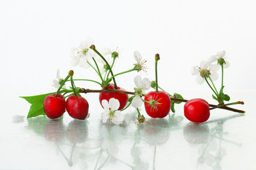 Similar image 10503130