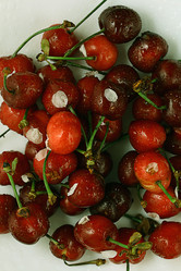 Similar image 10503132