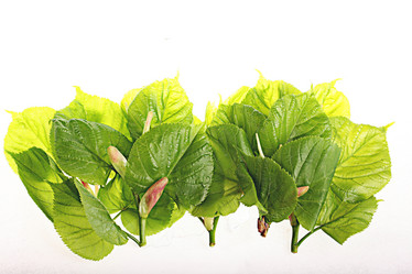 Similar image 10503135