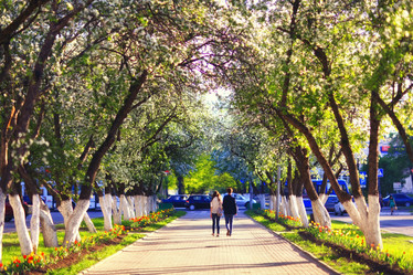 Similar image 10503136