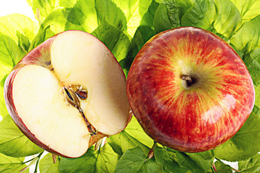 Similar image 10503139