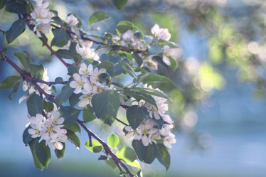 Similar image 10503140