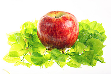 Similar image 10503141