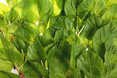 Similar image 10503143