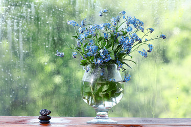 Similar image 10503156