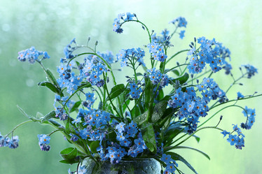 Similar image 10503157