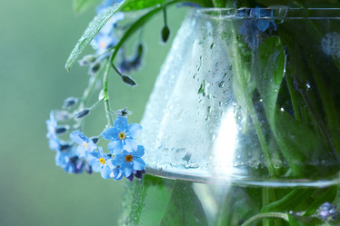 Similar image 10503158