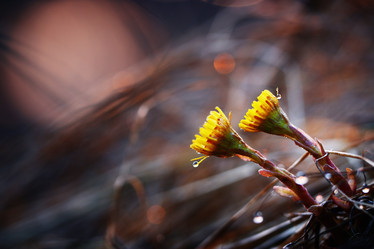 Similar image 10503162