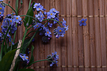 Similar image 10503176