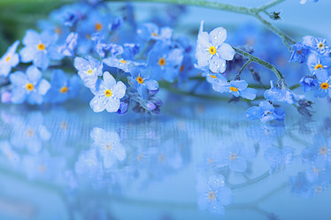 Similar image 10503178