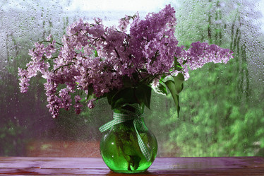 Similar image 10503182