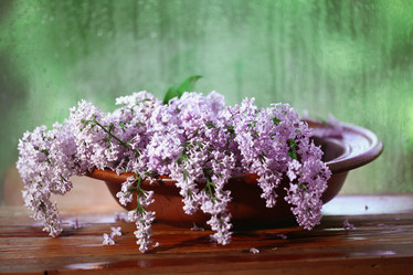 Similar image 10503183