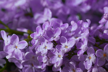 Similar image 10503186