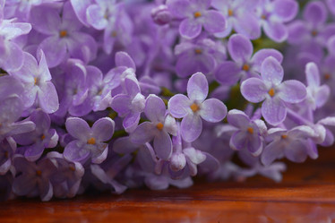 Similar image 10503187