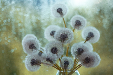 Similar image 10503190