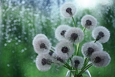 Similar image 10503192