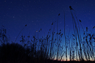 Similar image 10503209