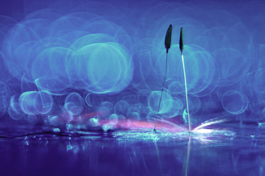 Similar image 10503227